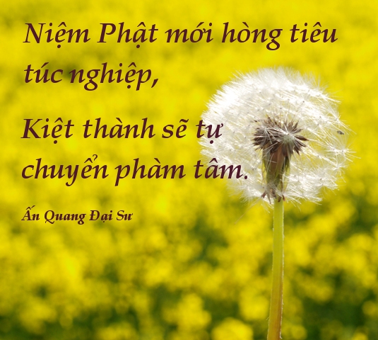 Niệm Phật Cứu Người