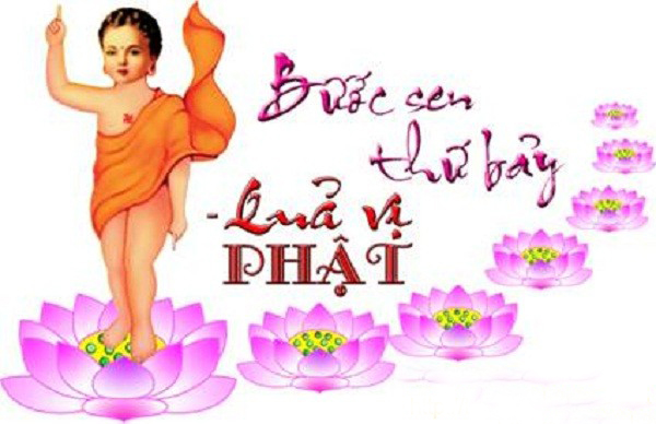 Ý Nghĩa Giải Thoát Trong Bảy Bước Hoa Sen