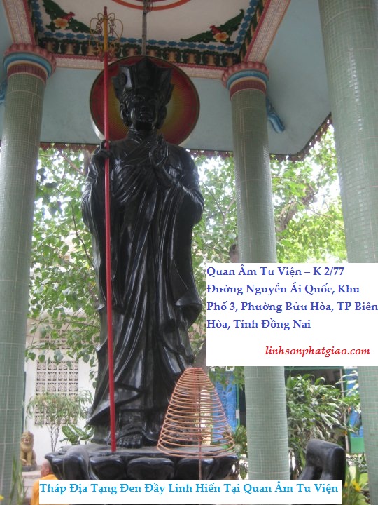 Những Huyền Bí Quanh Tượng 