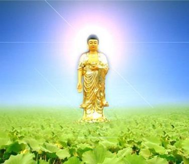 Tịnh Độ Tông Triều Đại Nhà Minh - Phương Pháp Tu Hành