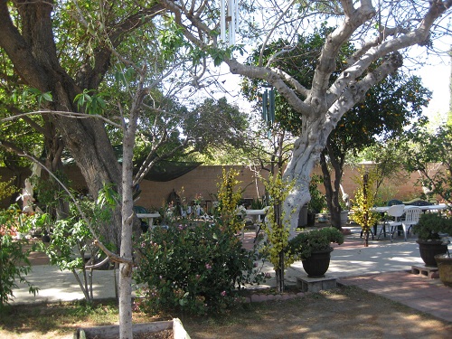 14. Phẩm “An Lạc Hạnh”