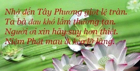 Tịnh Độ Tông Ở Vào Thời Đại Heian (Bình An)