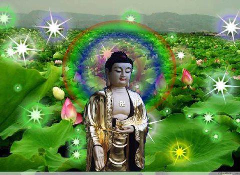 Chiếc Áo Mùa Đông - Tu Cư Gia