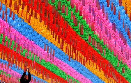 Seoul Thắp Sáng Đèn Lồng Mừng Phật Đản Sanh