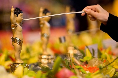 Xin Dâng Trọn Cuộc Đời