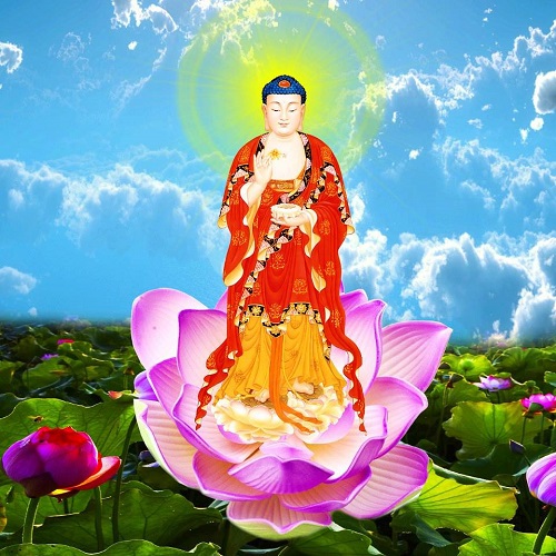 Hoa Sen Vi Diệu Pháp