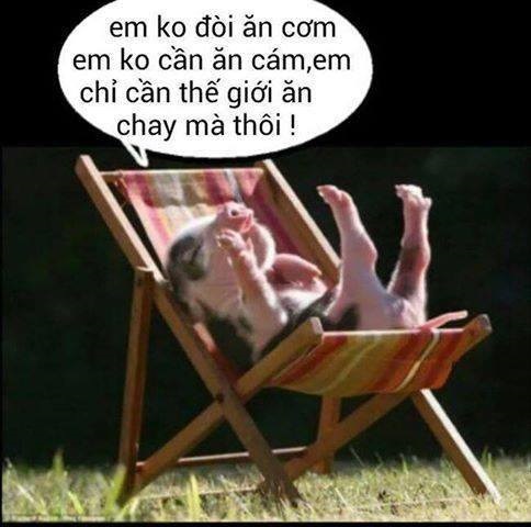 Mẹ Đầu Thai Làm Gà Bị Con Trai Giết Thịt Cúng Giỗ Cho Mẹ