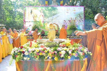 Nở Hoa Ưu Đàm