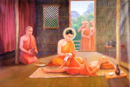Câu Chuyện Phật Giáo Số 28: Tư Vấn Bệnh Ung Thư Ngẫm Chuyện Đức Phật Thăm Tỳ Kheo Bị Bệnh 