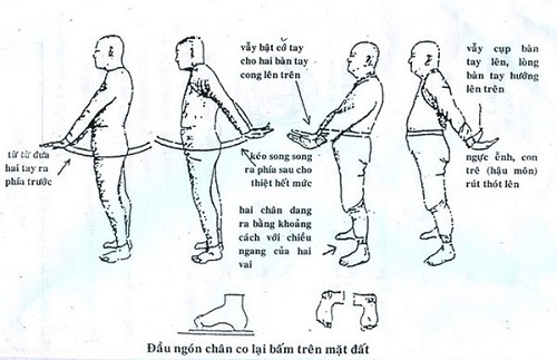 Giữ Gìn Sức Khỏe Với Đạt Ma Cân Kinh