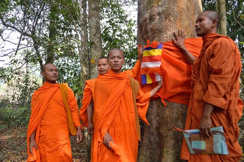 Campuchia: Các Nhà Sư Tổ Chức Quy Y Cho Cây Cổ Thụ Bảo Vệ Rừng