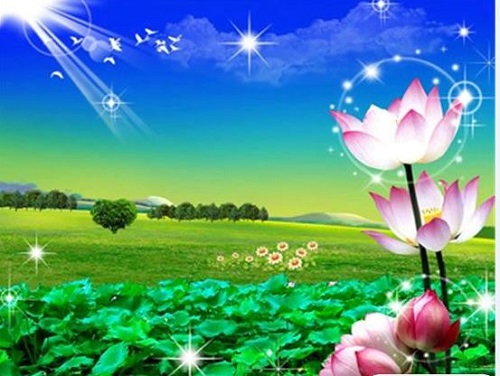 Giọt Nắng Đầu Mùa