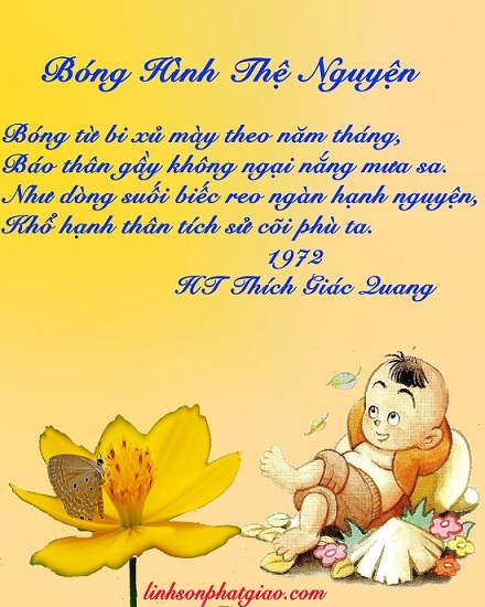 23. Luận Về Tông Giáo - Ấn Quang Đại Sư