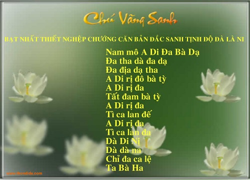 Thần Lực Chú Vãng Sanh