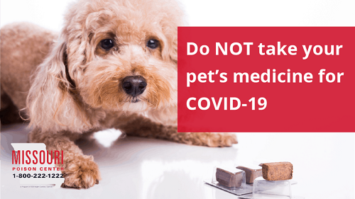 11. Hoa Kỳ:  CDC Và FDA Cảnh Báo Không Được Sử Dụng Ivermectin Để Điều Trị Bệnh Covid 19