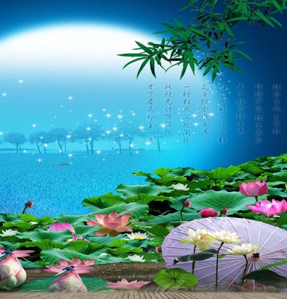 Bạch Liên Ẩn Sĩ