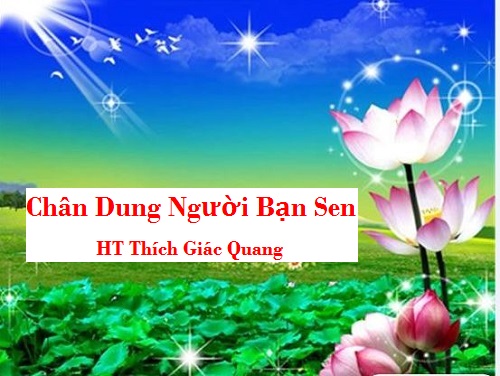 Chân Dung Người Bạn Sen