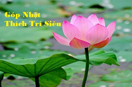 Góp Nhặt - Thích Trí Siêu Siêu